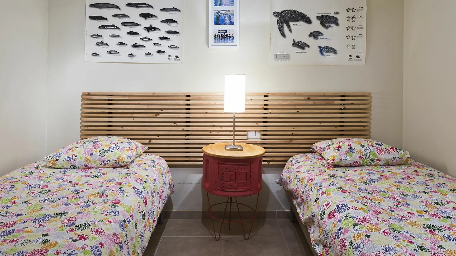 Medano Passion Apartment El Medano   El Medano (Tenerife)